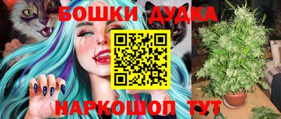 mdpv Новодвинск
