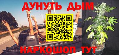 mdpv Новодвинск