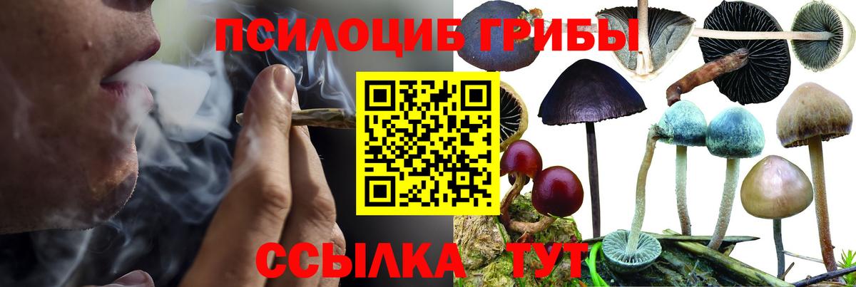 Галлюциногенные грибы прущие грибы Тавда