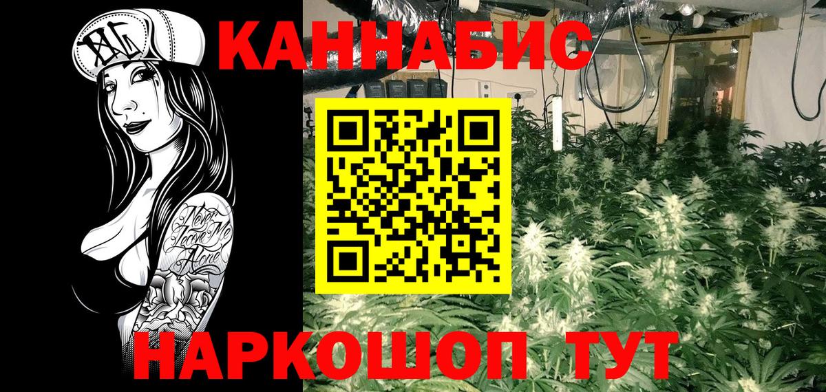 Шишки марихуана план  Конопля AK-47  Тавда  Конопля Ganja  Вход с VPN 