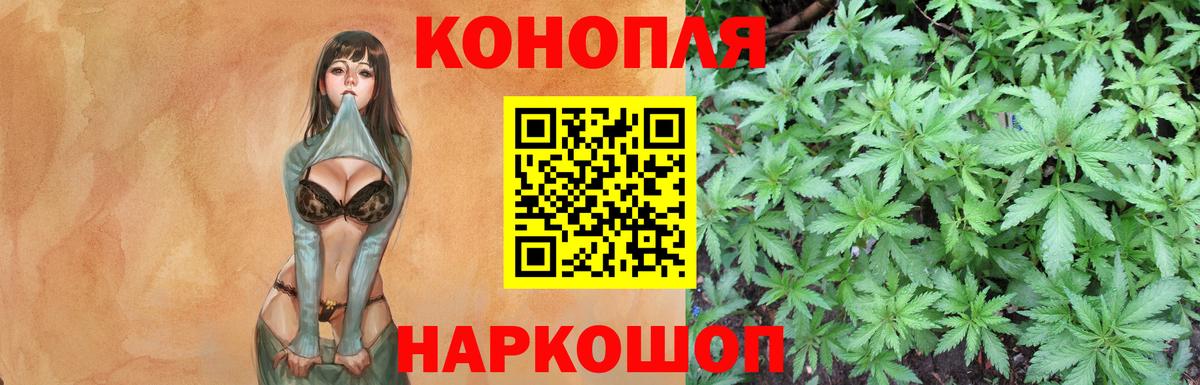 Конопля MAZAR Тавда